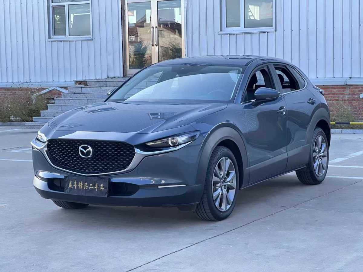 馬自達 CX-30  2020款 2.0L 自動質(zhì)悅型圖片