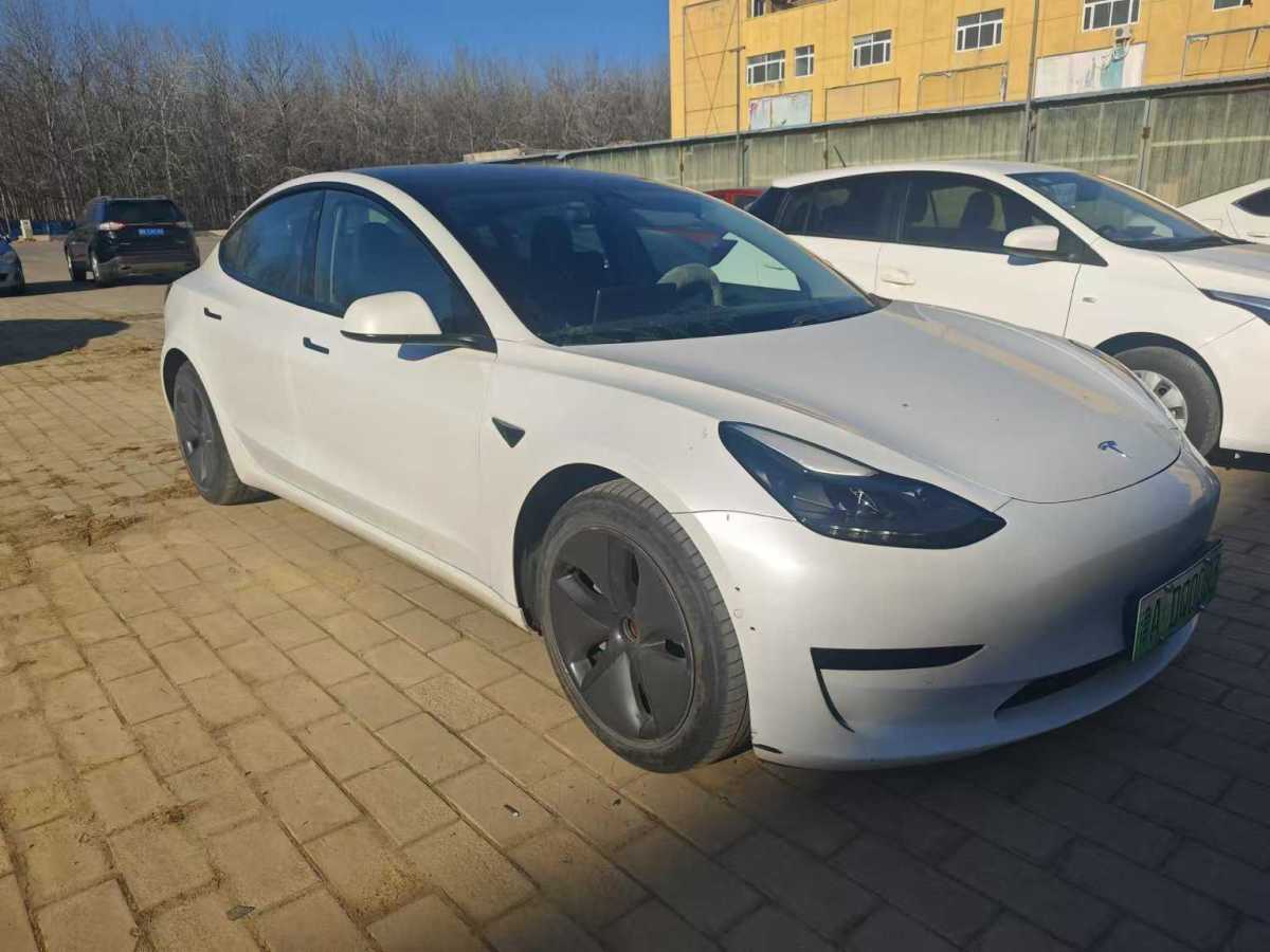 特斯拉 Model 3  2019款 標(biāo)準(zhǔn)續(xù)航后驅(qū)升級(jí)版圖片