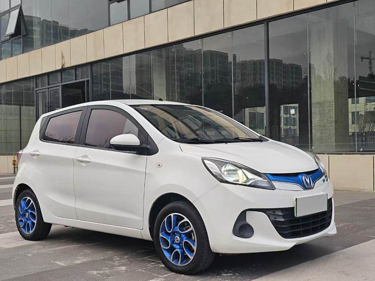 長安 奔奔EV  2018款 EV260 標(biāo)準(zhǔn)型圖片