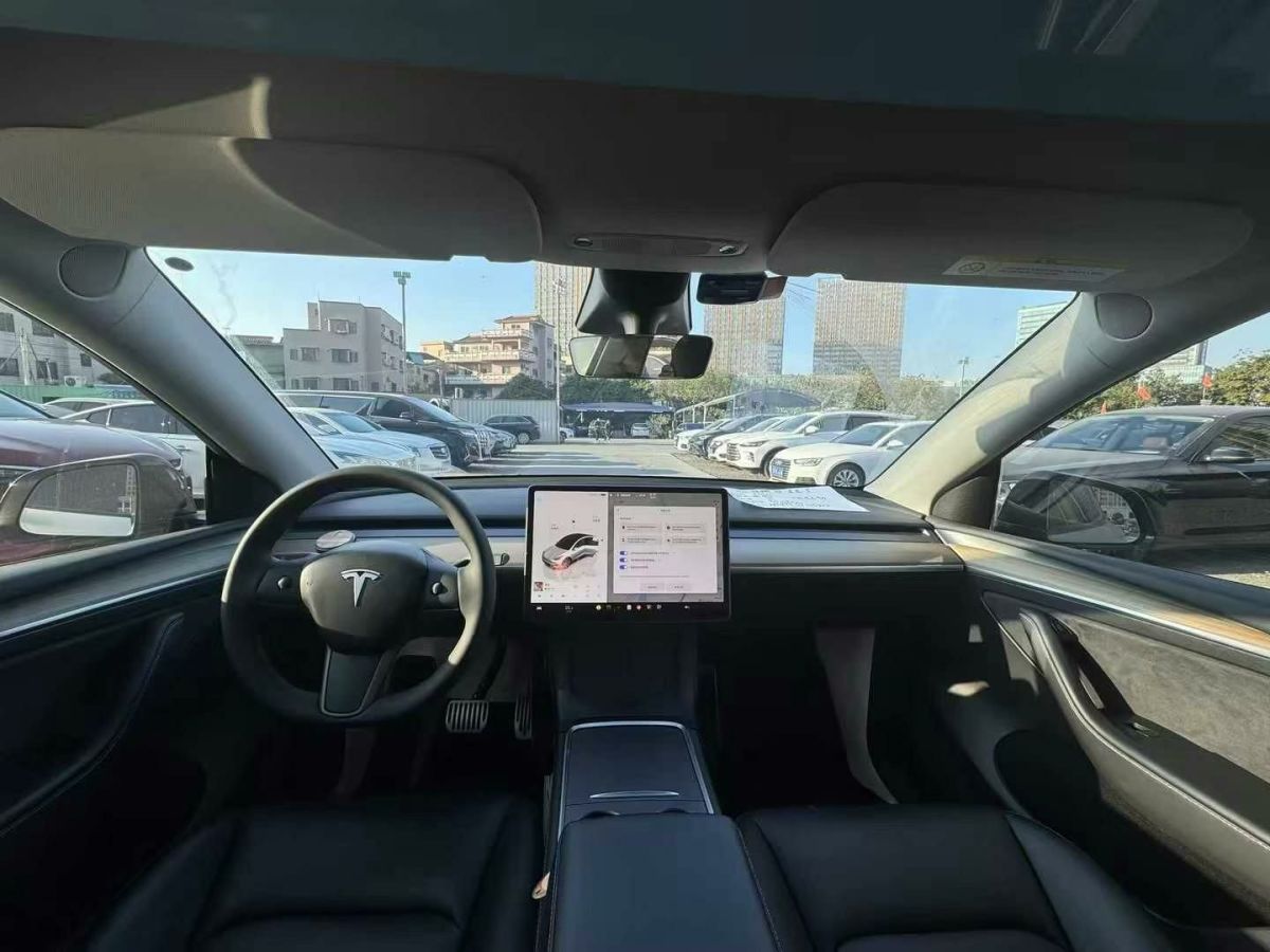 特斯拉 Model 3  2022款 Performance高性能全輪驅(qū)動版圖片