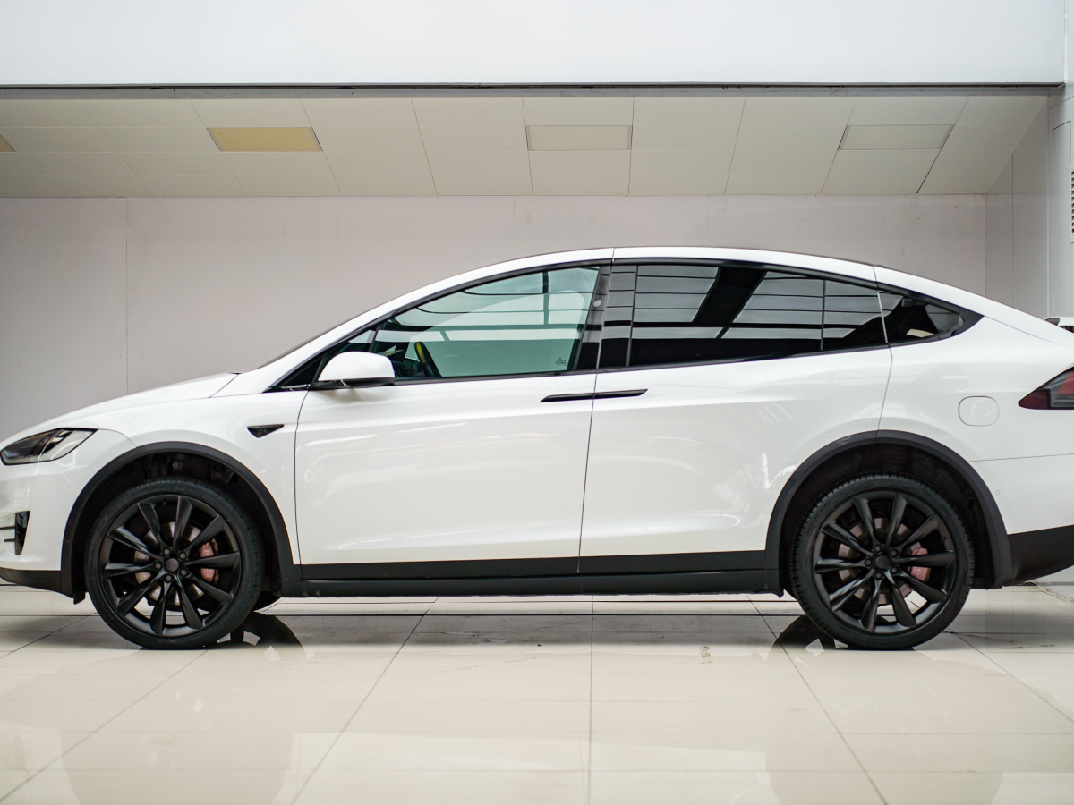 特斯拉 Model X  2019款 長續(xù)航版圖片