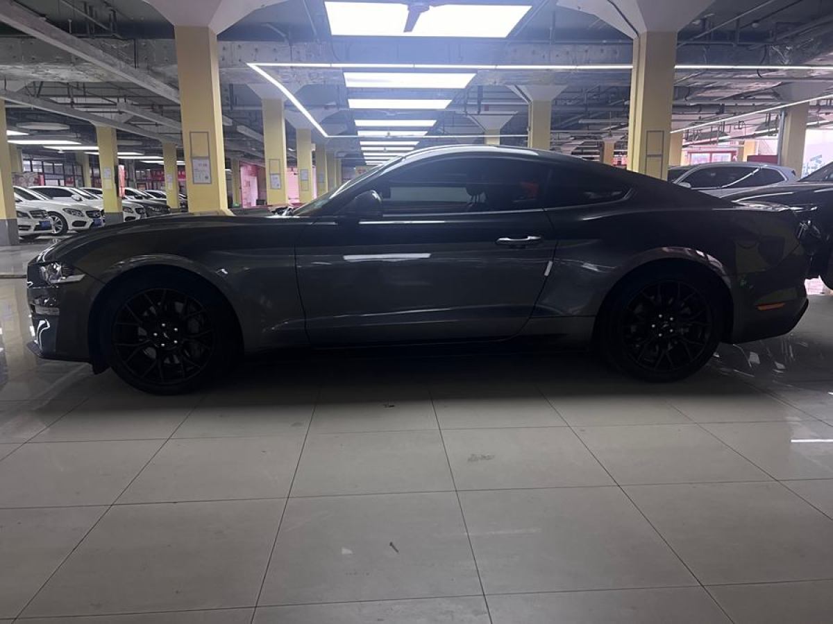 福特 Mustang  2021款 2.3L EcoBoost圖片