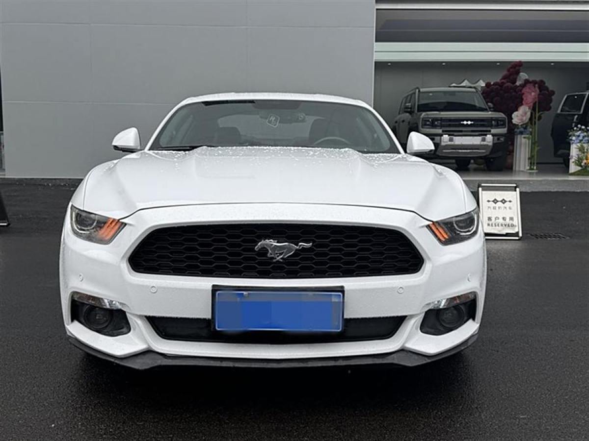 福特 Mustang  2015款 2.3T 50周年紀(jì)念版圖片