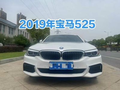 2019年1月 寶馬 寶馬5系(進(jìn)口) 530i 2.0T M運(yùn)動(dòng)套裝圖片