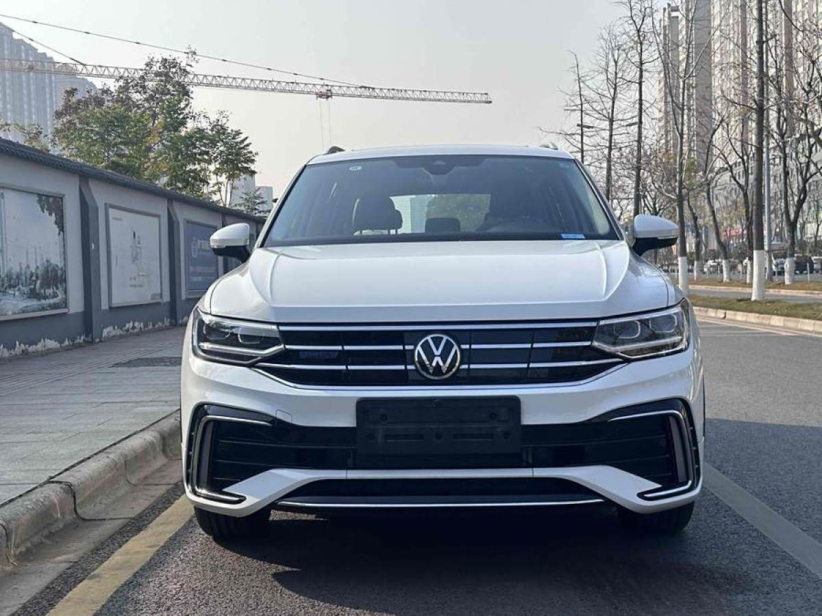 大眾 途觀L新能源  2023款 430PHEV 插電混動(dòng)尊貴版圖片