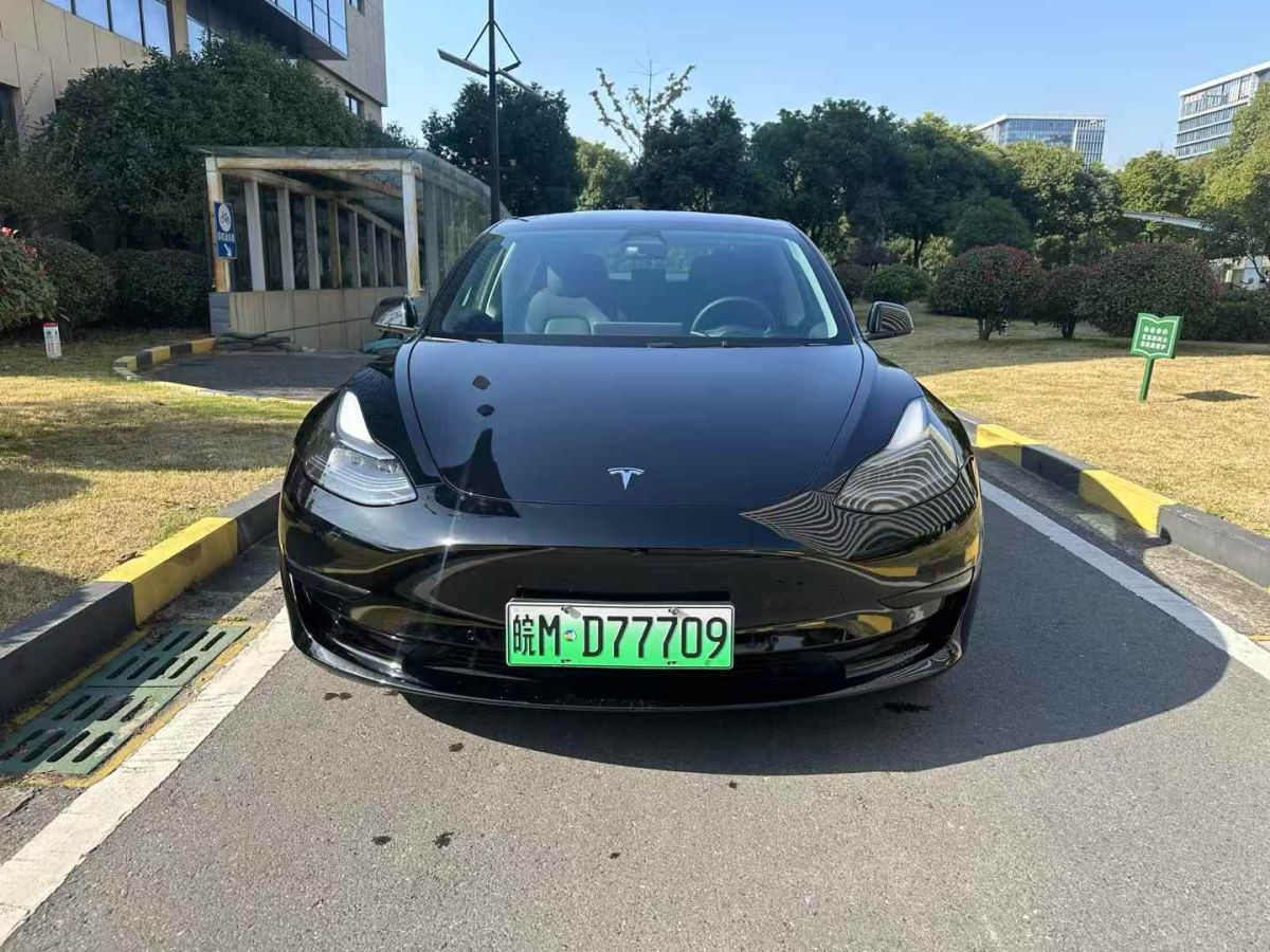 特斯拉 Model S  2023款 三電機(jī)全輪驅(qū)動(dòng) Plaid版圖片