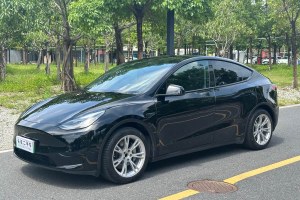 Model Y 特斯拉 改款 后輪驅(qū)動版