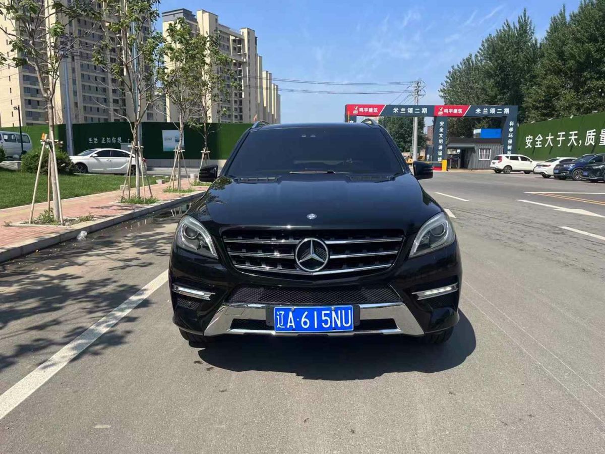 奔馳 奔馳M級(jí)  2012款 ML 350 豪華型圖片