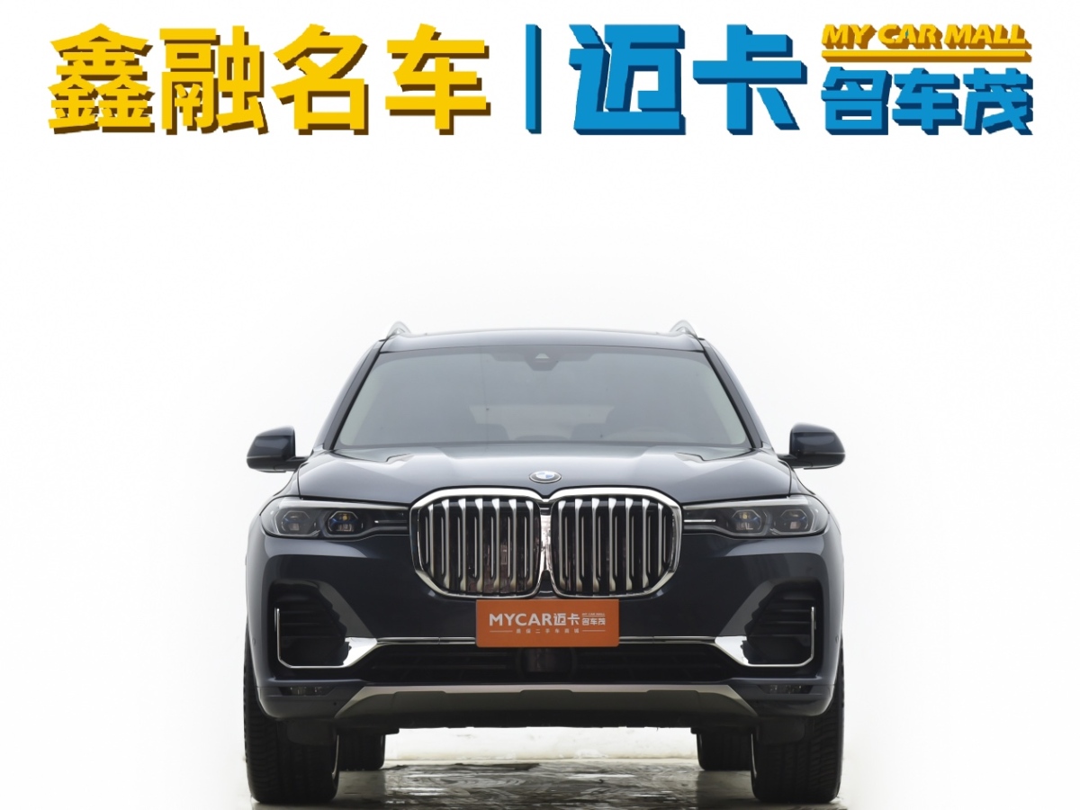 宝马 宝马X7  2019款  xDrive40i 领先型豪华套装图片