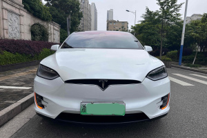 2017年7月特斯拉 Model X  Model X 75D