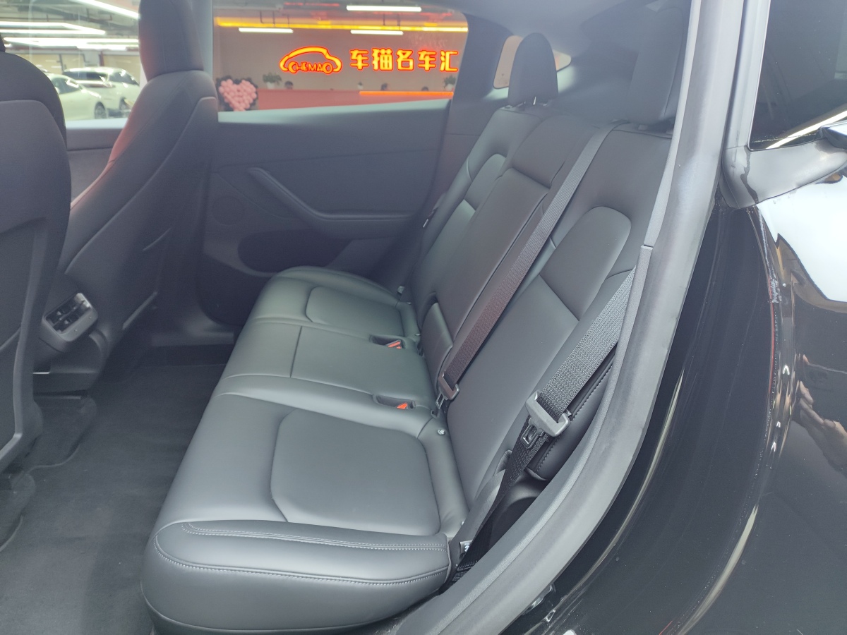 特斯拉 Model Y  2021款 標(biāo)準(zhǔn)續(xù)航后驅(qū)版圖片