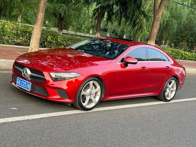 2019年2月 奔驰 奔驰CLS级(进口) 改款 CLS 300 动感型图片