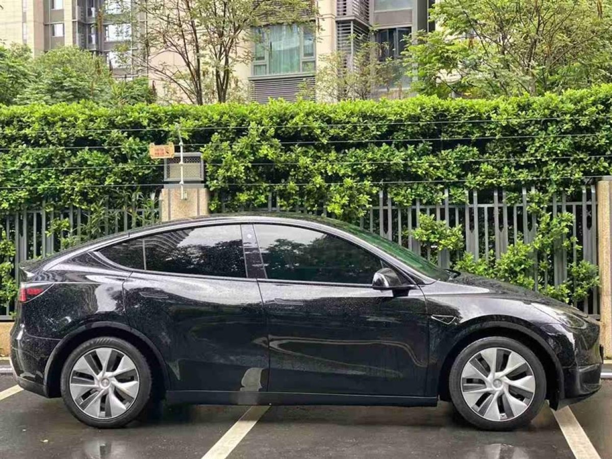 特斯拉 Model Y  2021款 標(biāo)準(zhǔn)續(xù)航后驅(qū)版圖片