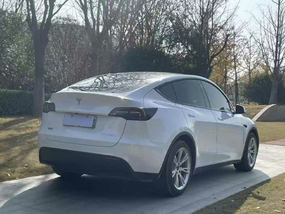 特斯拉 Model 3  2022款 Performance高性能全輪驅(qū)動版圖片