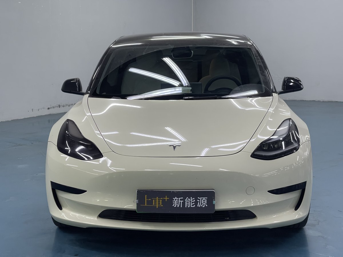 2021年12月特斯拉 Model 3  2019款 標(biāo)準(zhǔn)續(xù)航后驅(qū)升級(jí)版