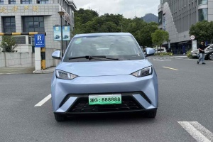 海鷗 比亞迪 305km 活力版