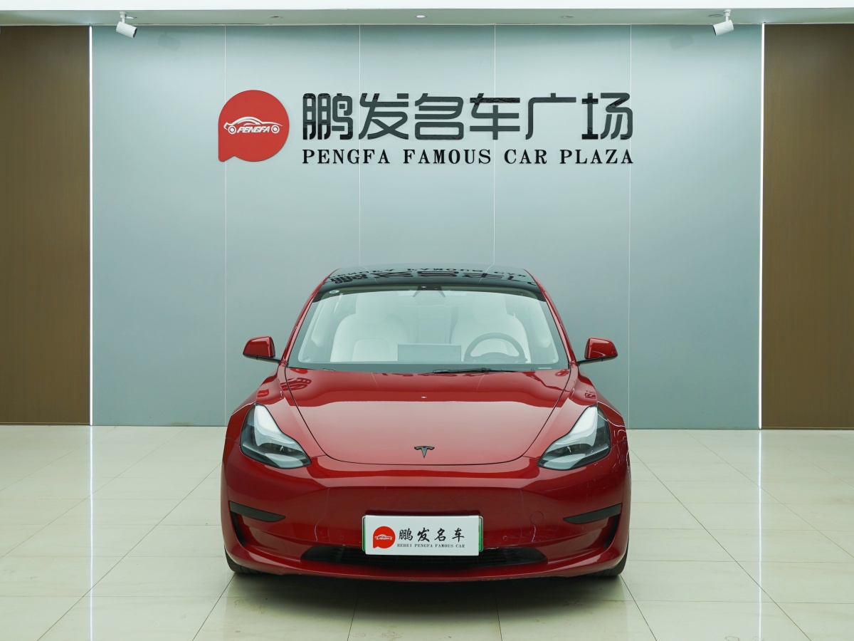 特斯拉 Model 3  2019款 標(biāo)準(zhǔn)續(xù)航后驅(qū)升級(jí)版圖片