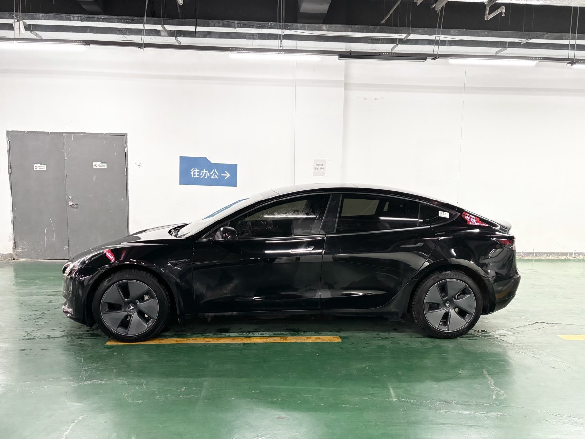 特斯拉 Model 3  2019款 標(biāo)準(zhǔn)續(xù)航后驅(qū)升級(jí)版圖片