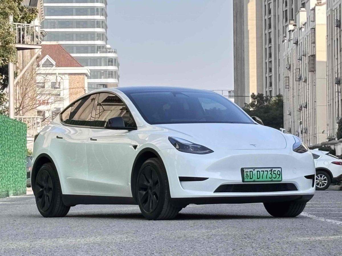 特斯拉 Model 3  2020款 改款 長續(xù)航后輪驅(qū)動版圖片