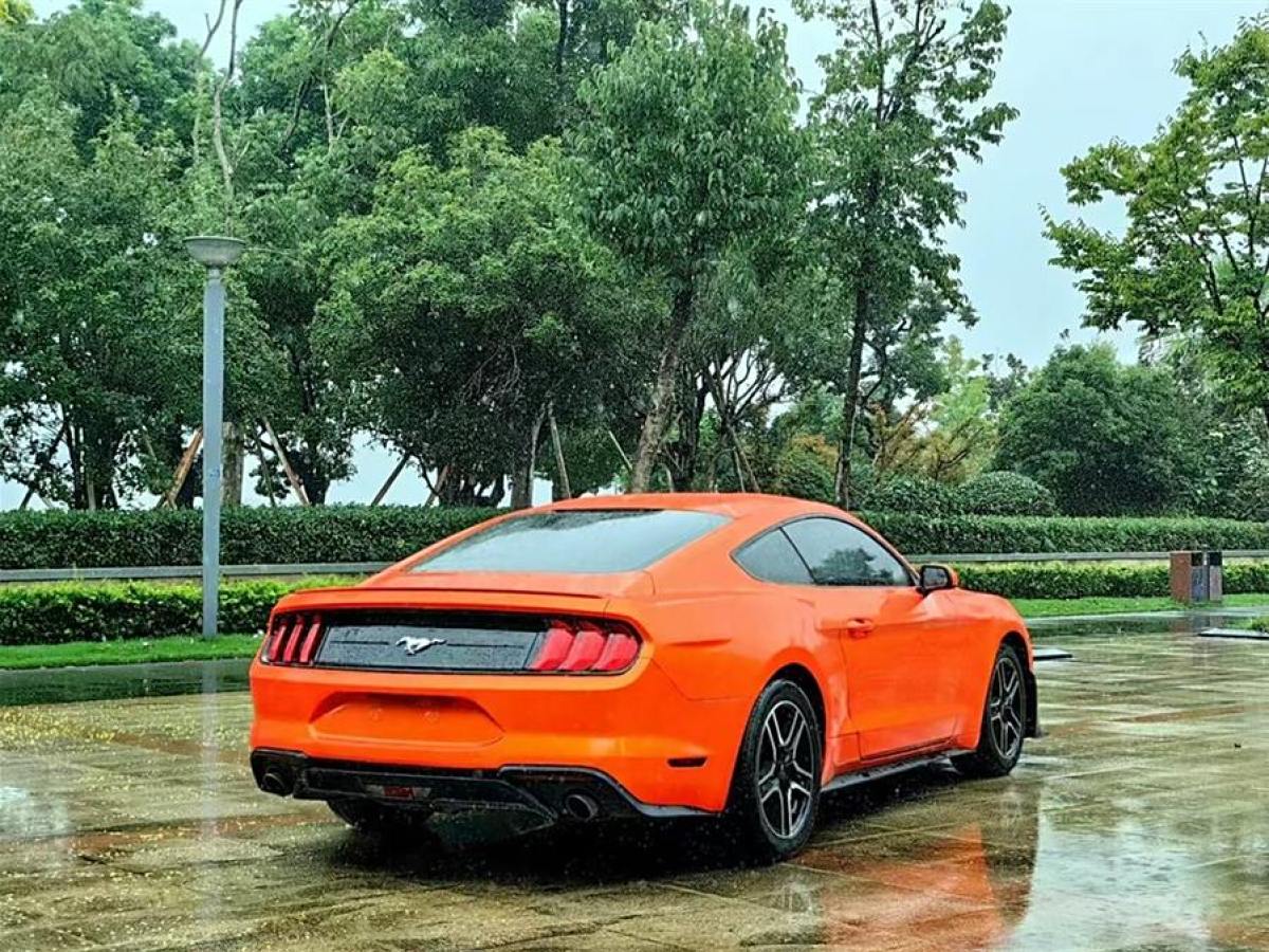 福特 Mustang  2019款 2.3L EcoBoost圖片