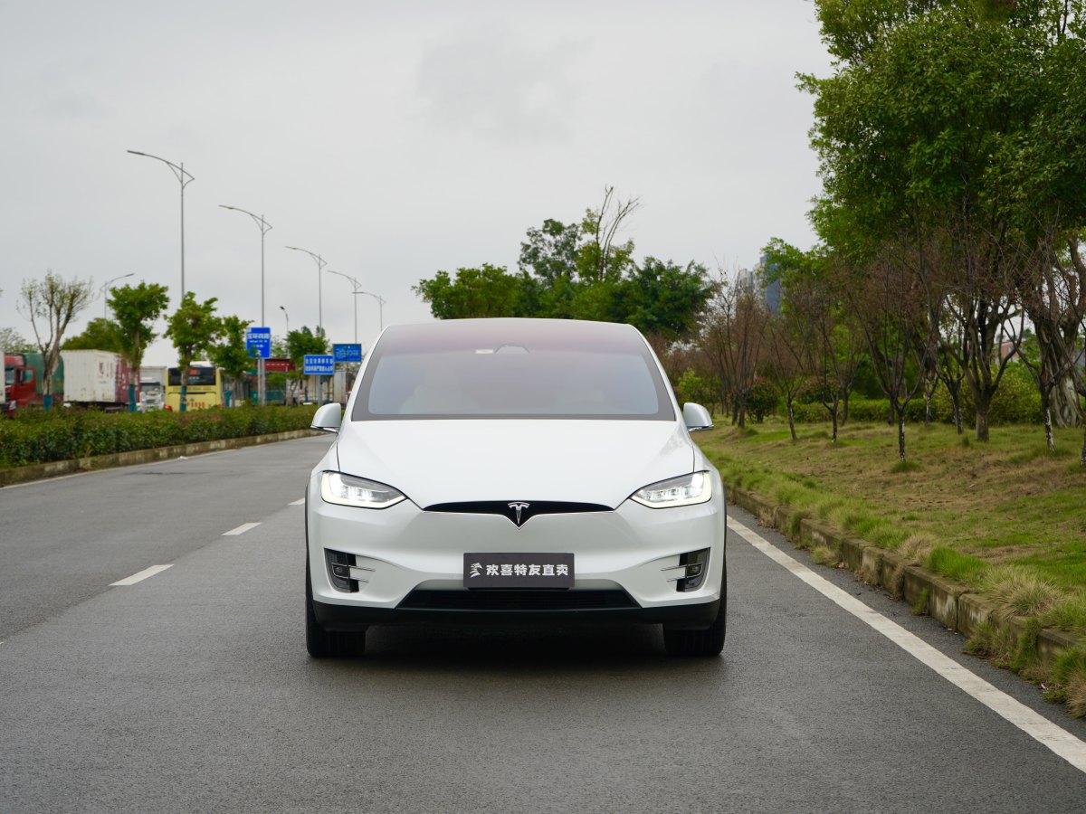 2019年11月特斯拉 Model X  2019款 長續(xù)航版