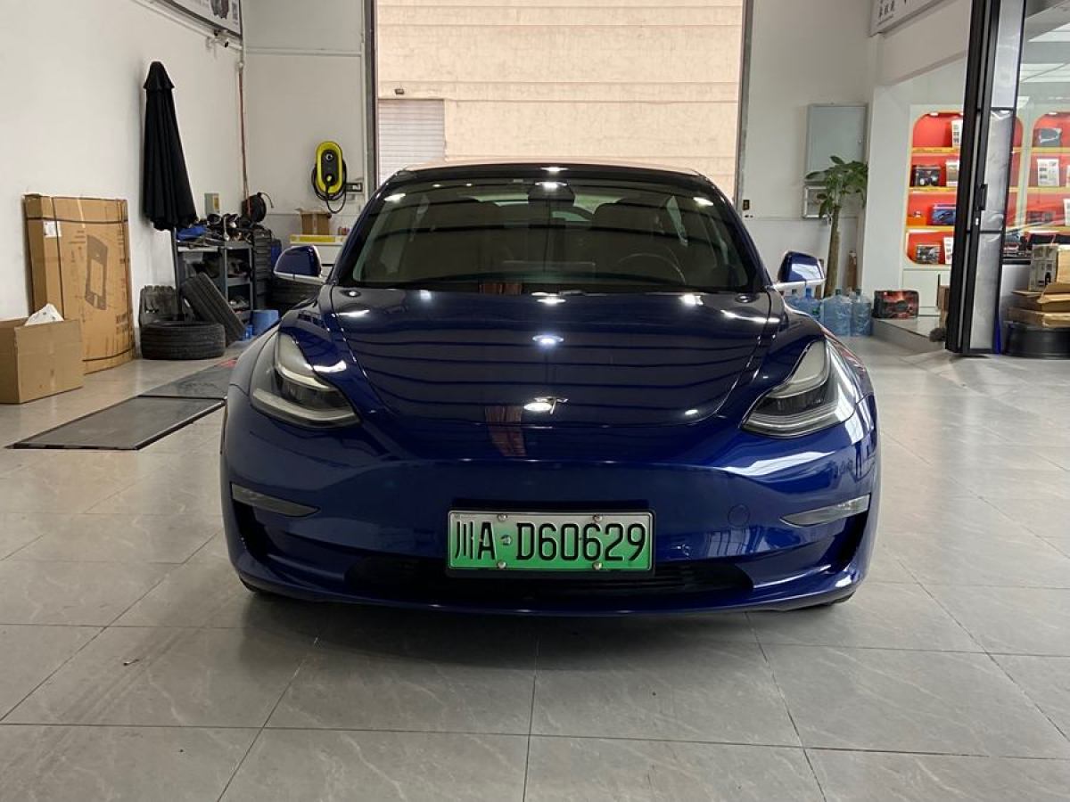 特斯拉 Model 3  2019款 長續(xù)航全輪驅(qū)動版圖片