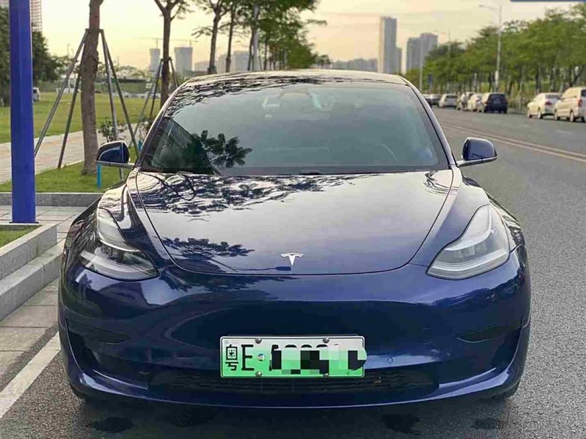 特斯拉 Model 3  2019款 標(biāo)準(zhǔn)續(xù)航后驅(qū)升級(jí)版圖片