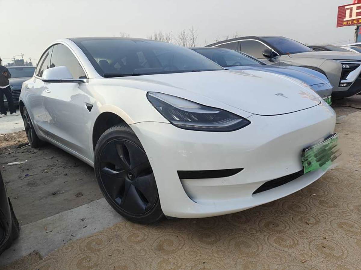 特斯拉 Model 3  2019款 標準續(xù)航后驅升級版圖片