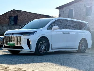 2024年12月 嵐圖 夢想家 PHEV 四驅(qū)卓越鯤鵬版圖片