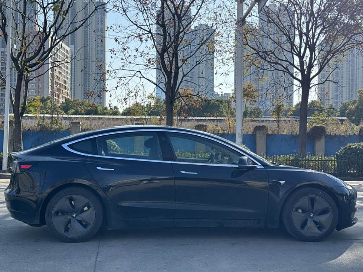 特斯拉 Model 3  2020款 改款 標(biāo)準(zhǔn)續(xù)航后驅(qū)升級(jí)版圖片