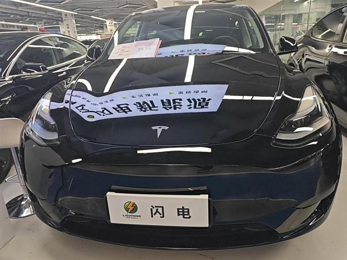 特斯拉 Model 3  2020款 改款 長續(xù)航后輪驅(qū)動版圖片