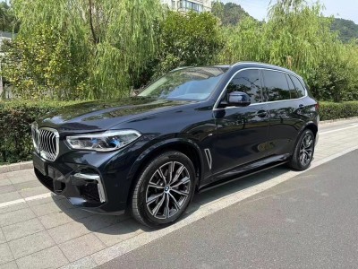 2022年8月 宝马 宝马X5 xDrive 30Li 尊享型M运动套装图片