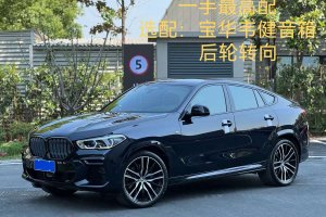 寶馬X6 寶馬 改款二 xDrive40i 尊享型 M運(yùn)動套裝