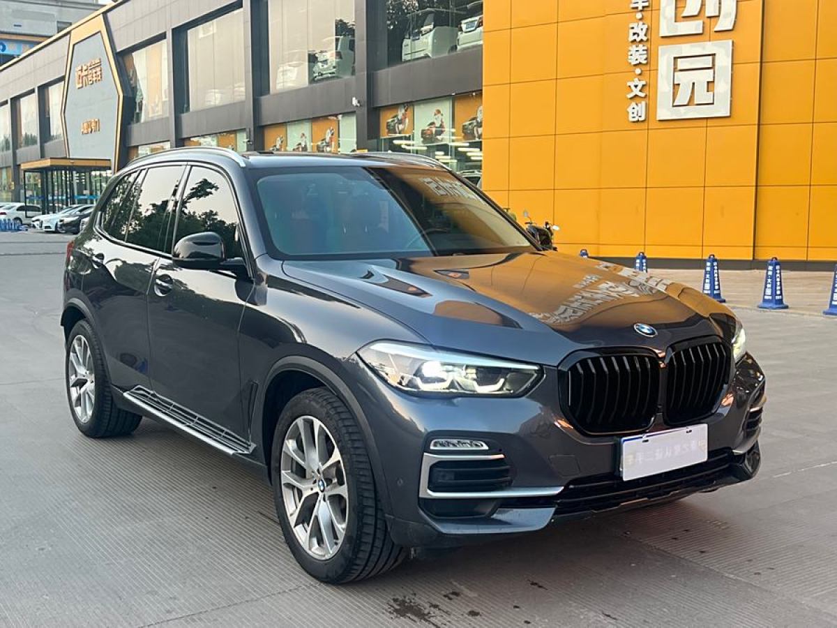 寶馬 寶馬X5  2019款 xDrive30i X設(shè)計(jì)套裝圖片