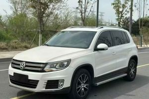 途觀 大眾 1.8 TSI 30周年紀(jì)念版