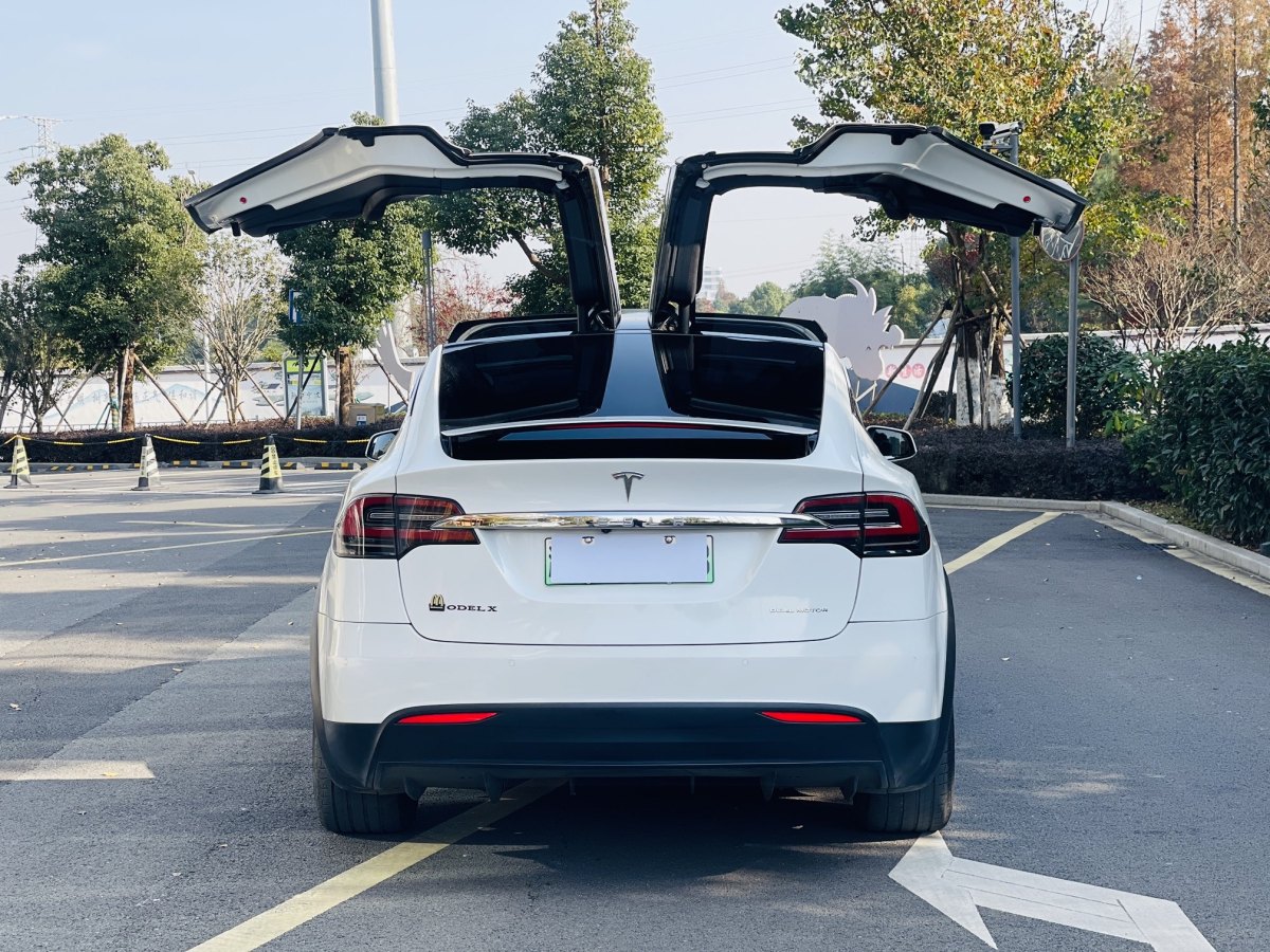 特斯拉 Model X  2019款 標(biāo)準(zhǔn)續(xù)航版圖片