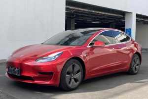 Model 3 特斯拉 标准续航后驱升级版