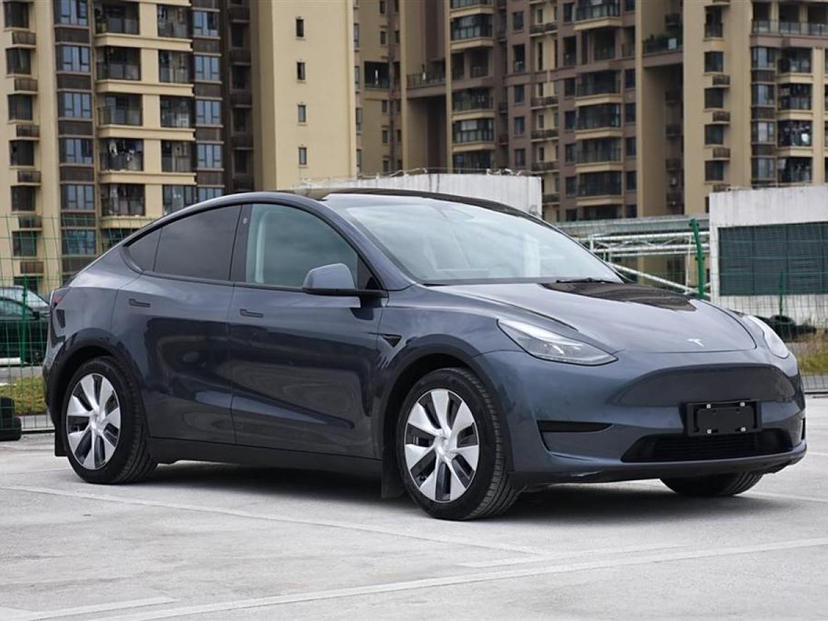 特斯拉 Model Y  2022款 后輪驅(qū)動(dòng)版圖片