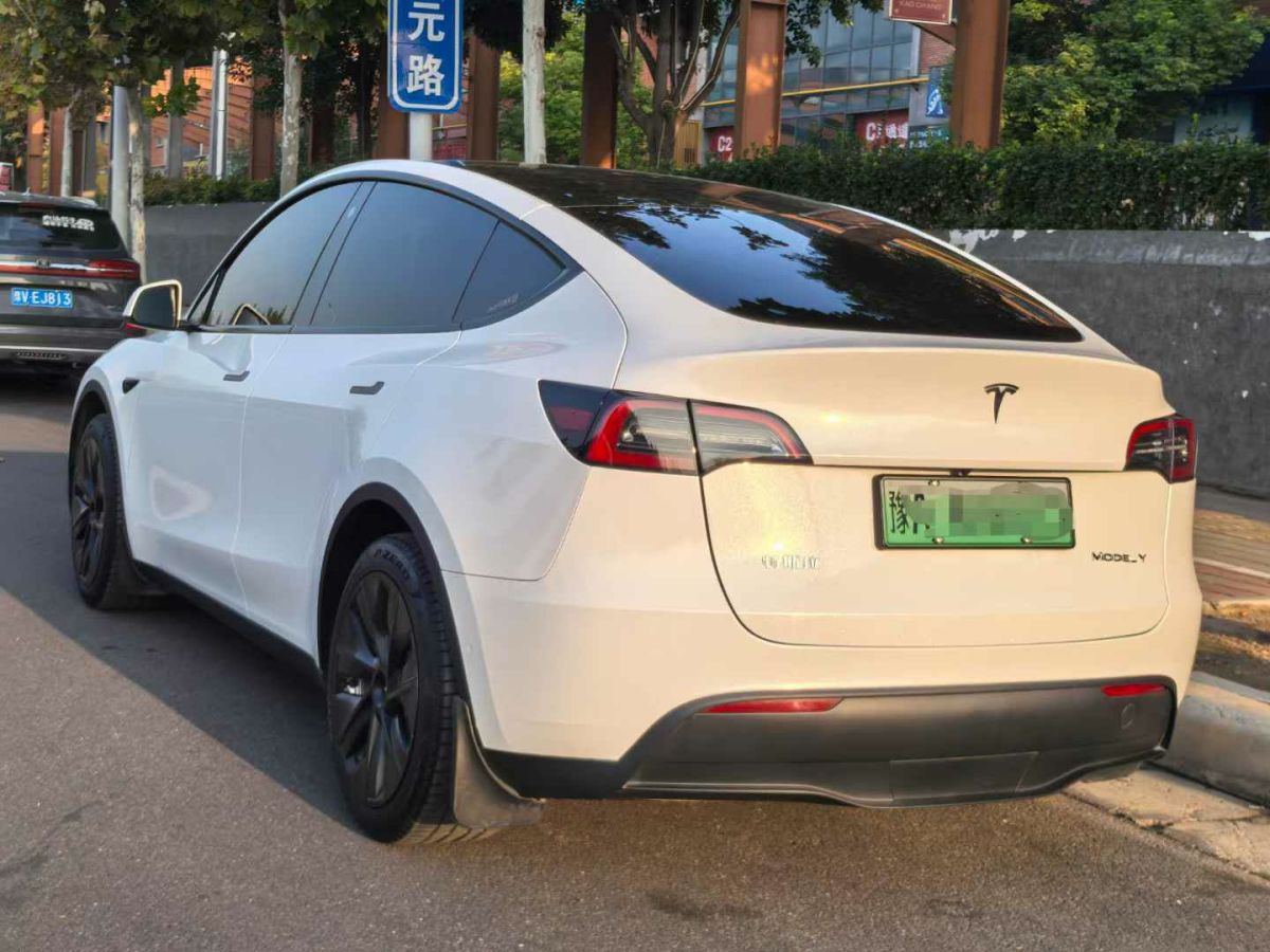 特斯拉 Model S  2023款 三電機(jī)全輪驅(qū)動(dòng) Plaid版圖片