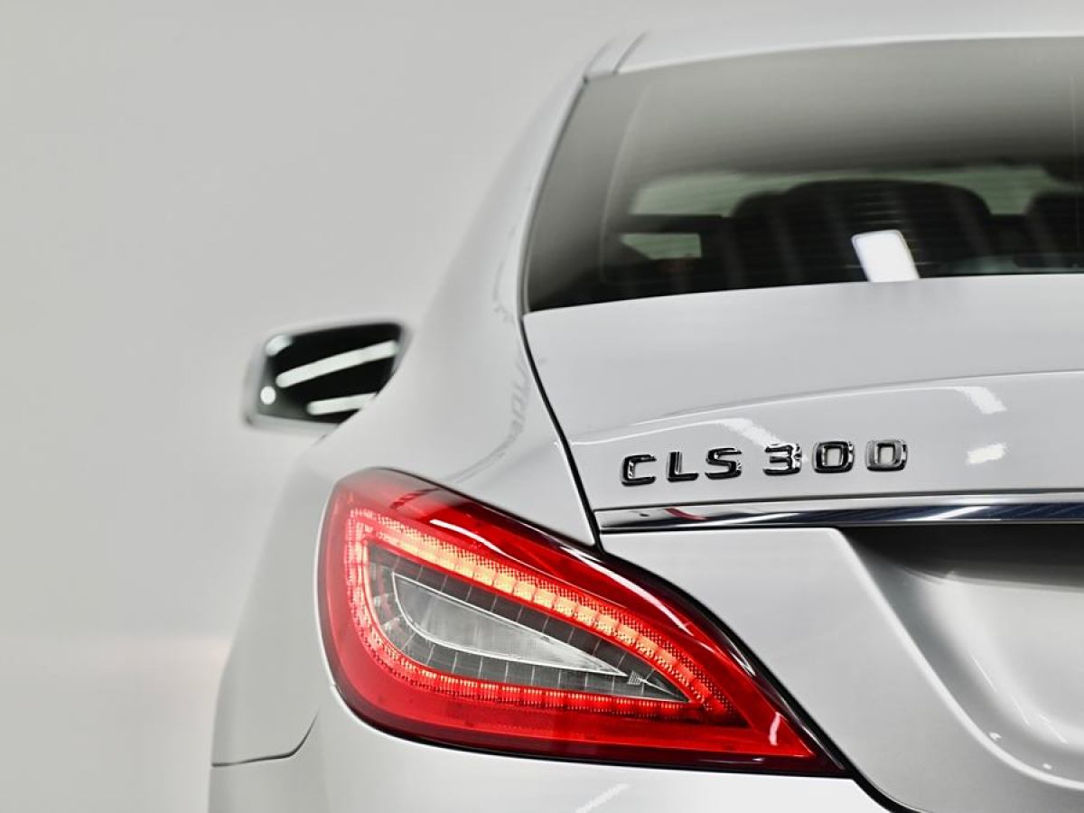 奔馳 奔馳CLS級(jí)  2012款 CLS 300 CGI圖片