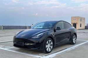 Model Y 特斯拉 后轮驱动版