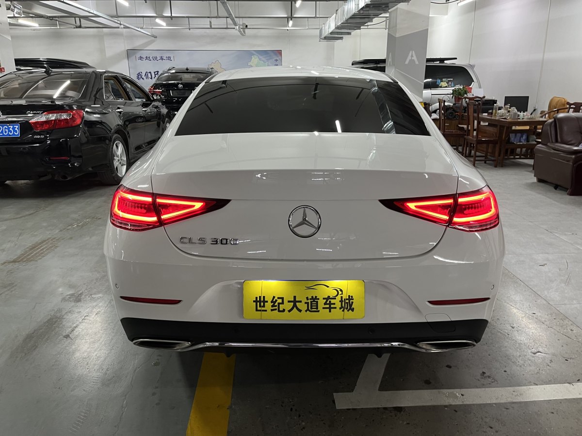 奔馳 奔馳CLS級(jí)  2018款 CLS 300 豪華型圖片