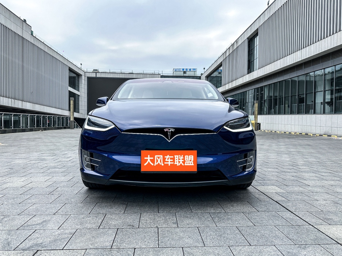 特斯拉 Model X  2017款 Model X 100D 長續(xù)航版圖片