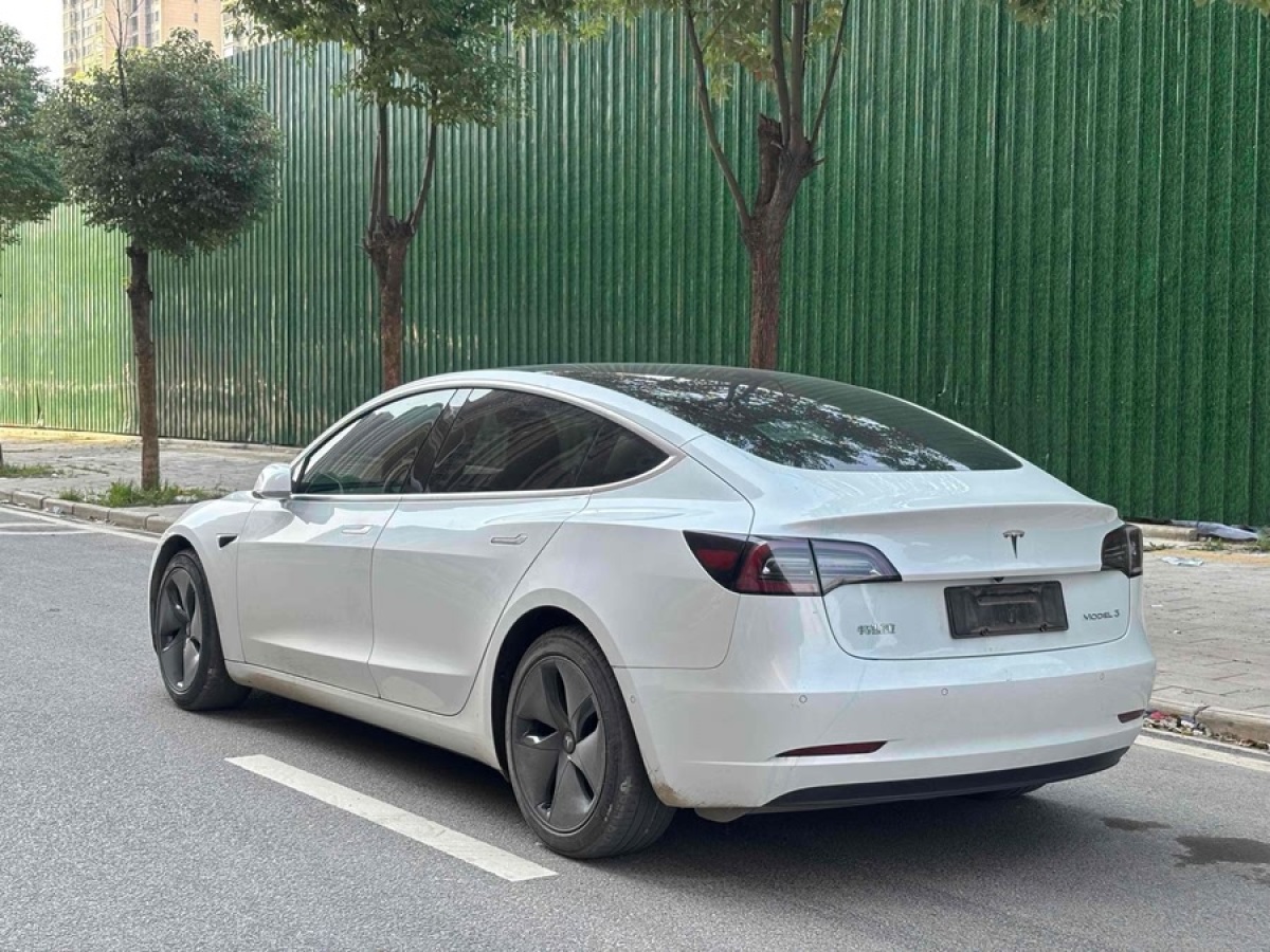 特斯拉 Model 3  2020款 改款 標(biāo)準(zhǔn)續(xù)航后驅(qū)升級(jí)版圖片