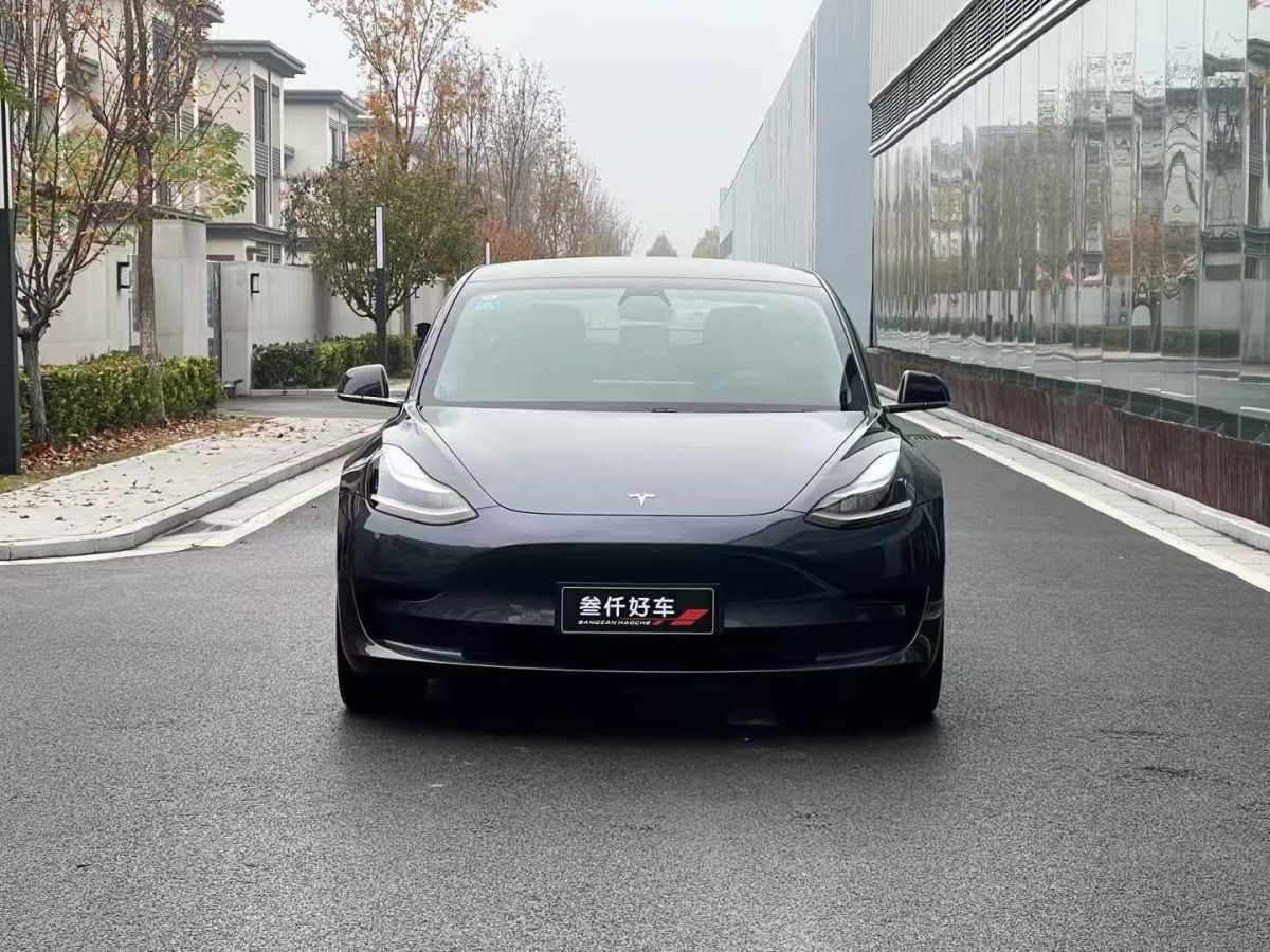 特斯拉 Model X  2020款 Performance 高性能版圖片