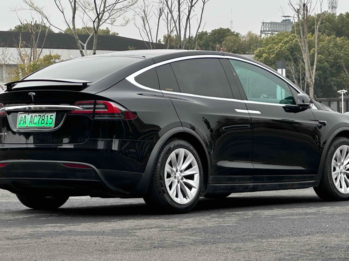 特斯拉 Model X  2016款 Model X 75D圖片