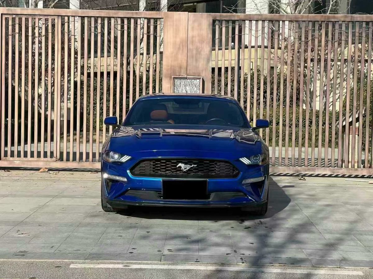 福特 Mustang  2019款 2.3L EcoBoost圖片