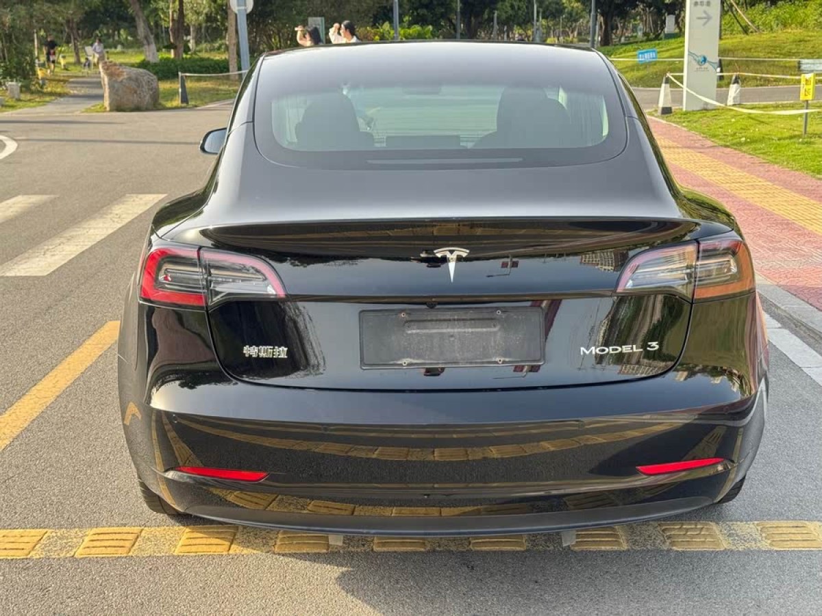 特斯拉 Model 3  2020款 改款 標準續(xù)航后驅(qū)升級版圖片