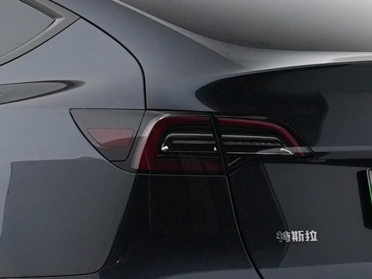 特斯拉 Model Y  2020款 改款 長續(xù)航后輪驅(qū)動版圖片