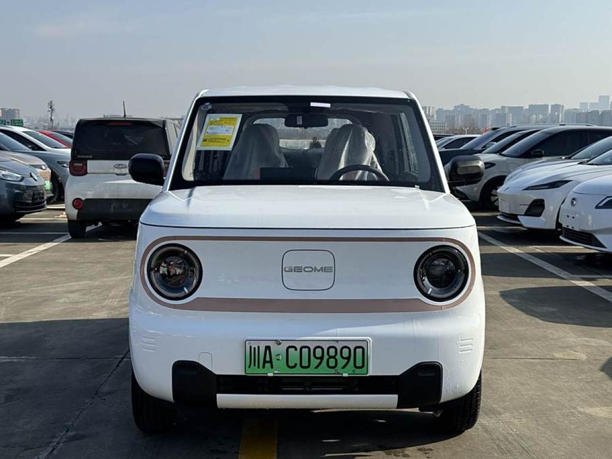 吉利 熊貓mini  2024款 改款 熊貓mini 200km 龍騰版圖片